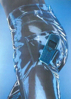 Nokia phone in a transparent pocket.