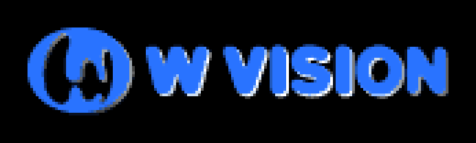 W VISION — The logo in low resolution.